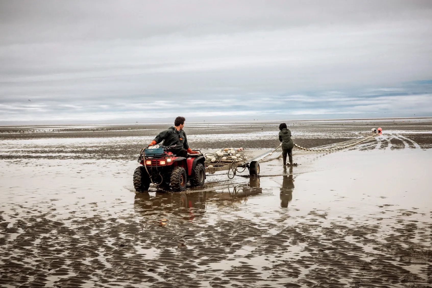 Two people use an ATV to pull a net across a vast, wet, sandy beach.