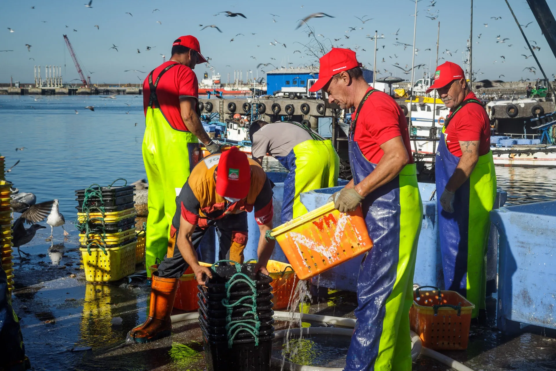 Fishermen in bright waders sort fresh catch on a boat in a busy harbor.