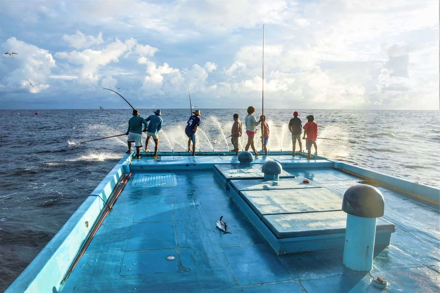 Explained: tuna fishing by pole and line - Sea Tales