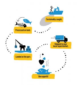 Traceability and processing